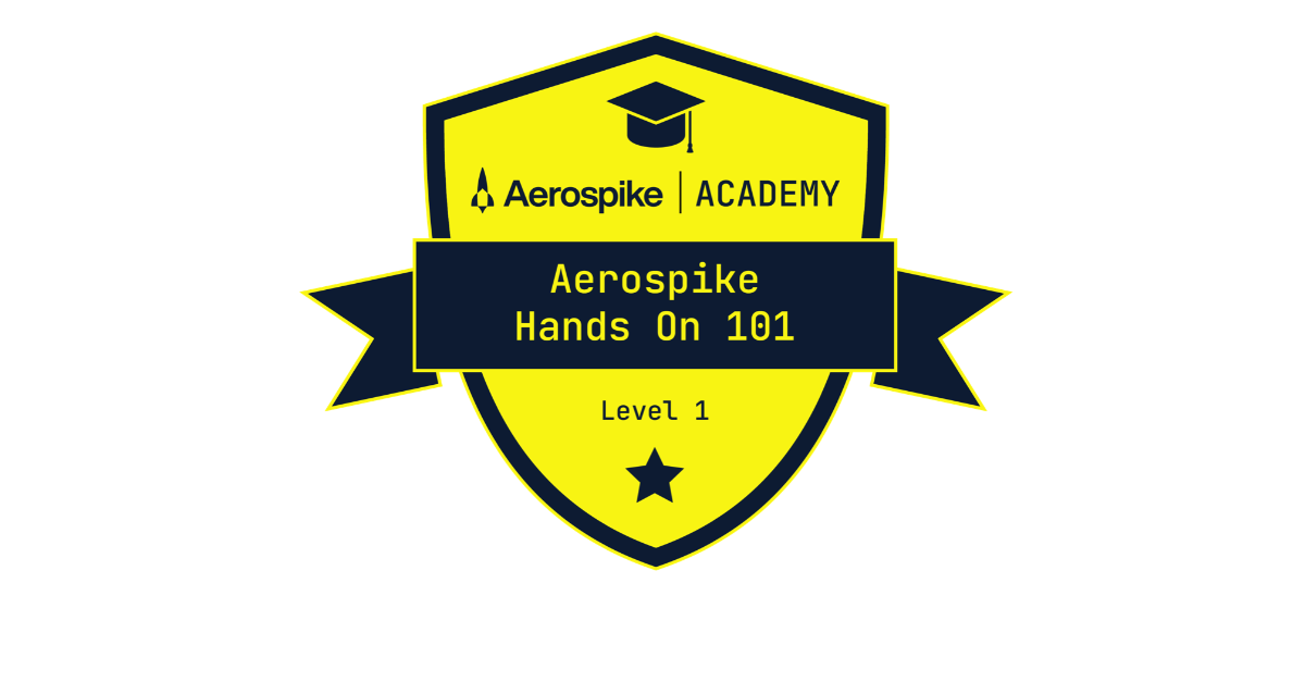 aero-101 badge