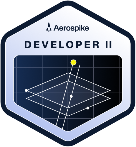 aero-102 badge